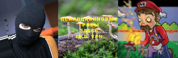 a pvp Инсар