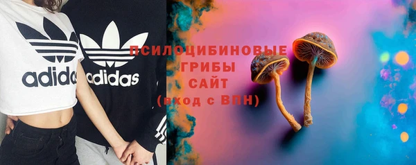 трава Иннополис