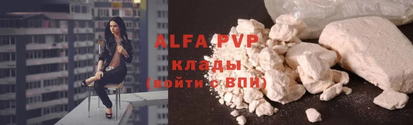 трава Иннополис