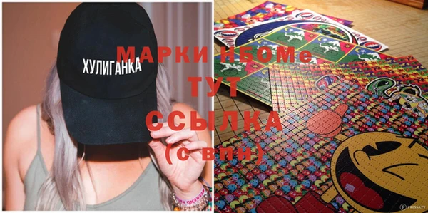 a pvp Инсар