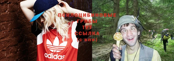 трава Иннополис