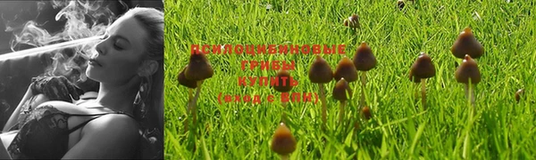 трава Иннополис
