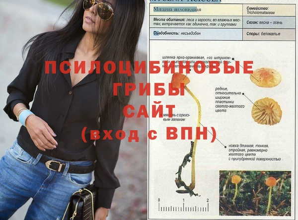 каннабис Инта
