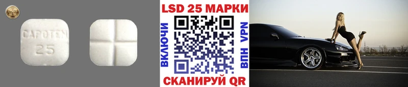 LSD-25 экстази кислота  Купить закладки  Камешково 