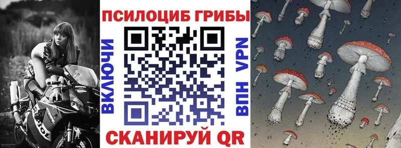 Купить где  Камешково  Псилоцибиновые грибы GOLDEN TEACHER 